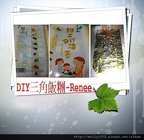 2009年5月DIY三角飯糰