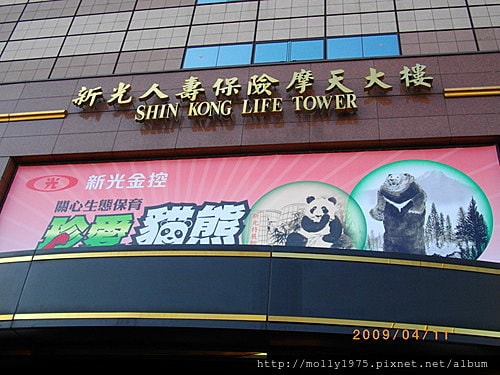 2009年4月新光登高大賽