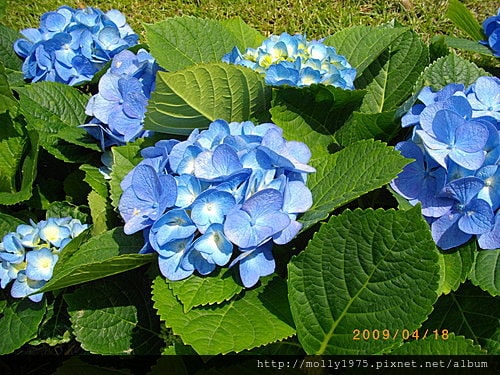 2009年4月彩虹橋