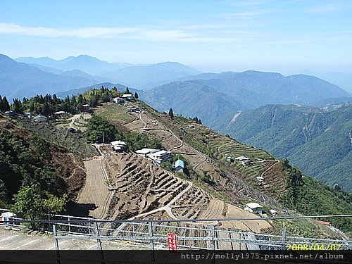 2008清境農場