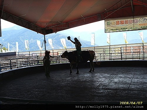 2008清境農場