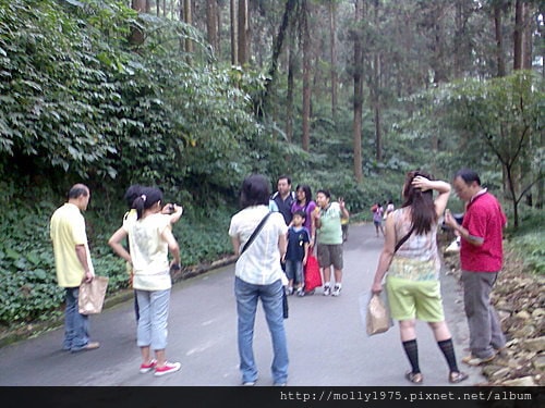2008溪頭7-11二日遊