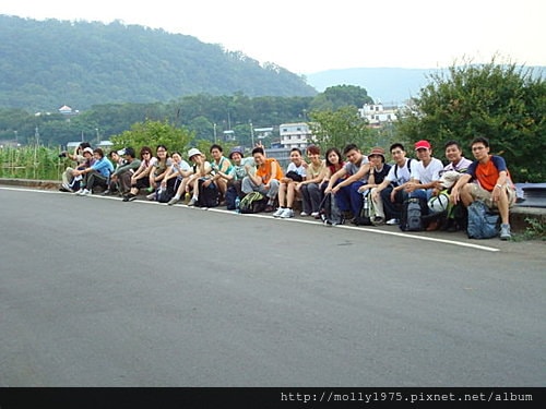 狗殷勤古道