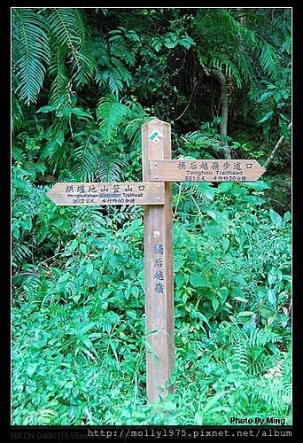 桶后越嶺林道
