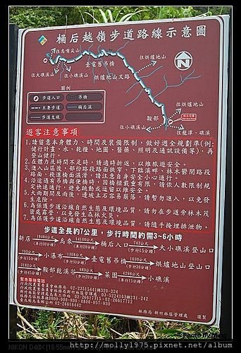 桶后越嶺林道
