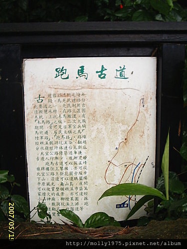跑馬古道