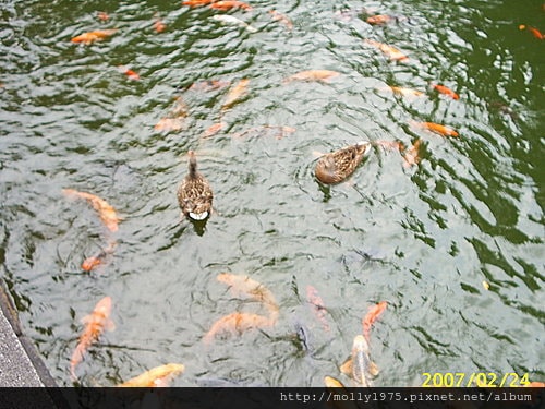 板橋林家花園