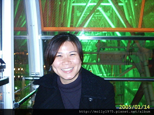 美麗華摩天輪