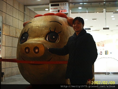 豬(諸)事大吉