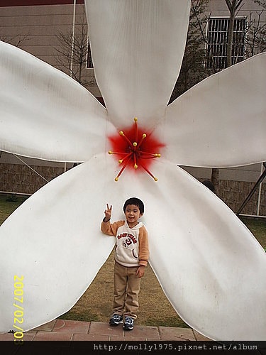 花仙子