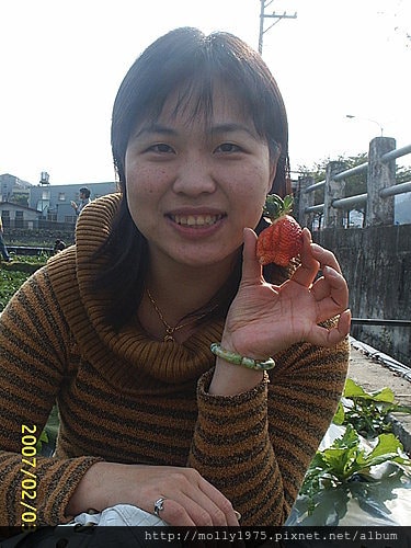 苗栗採草莓