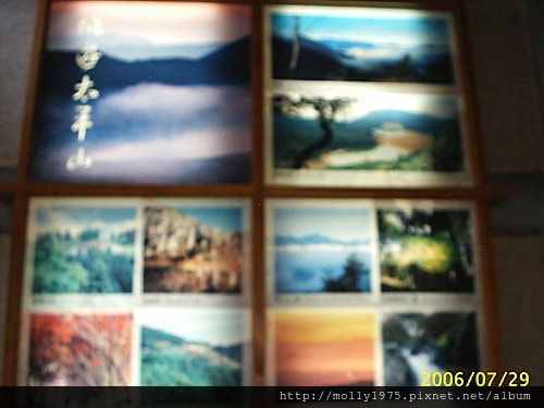 太平山之旅