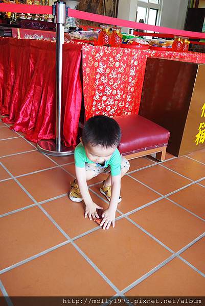 P6020116.JPG