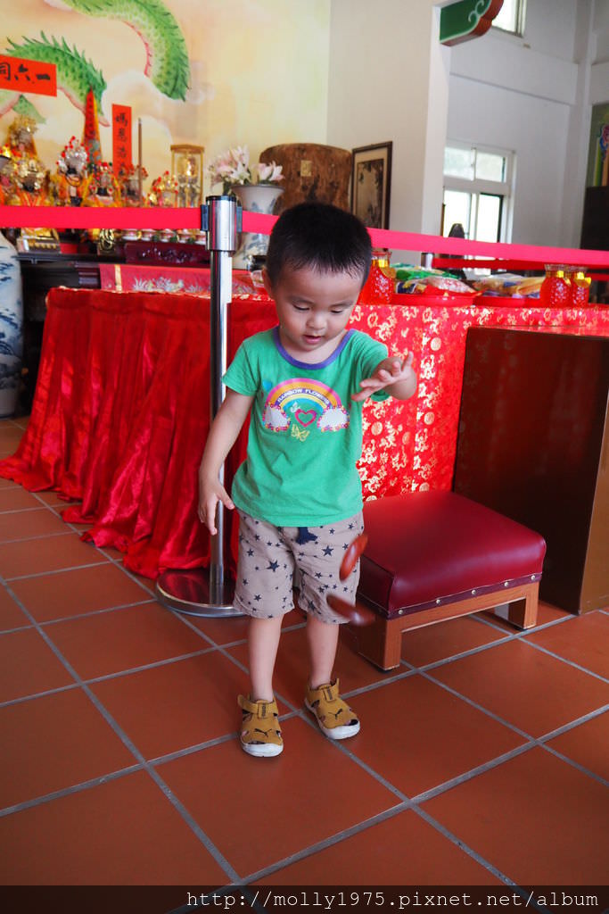 P6020117.JPG