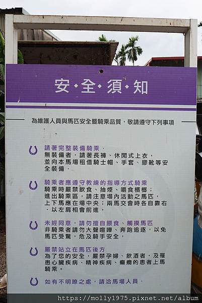 P6090319.JPG
