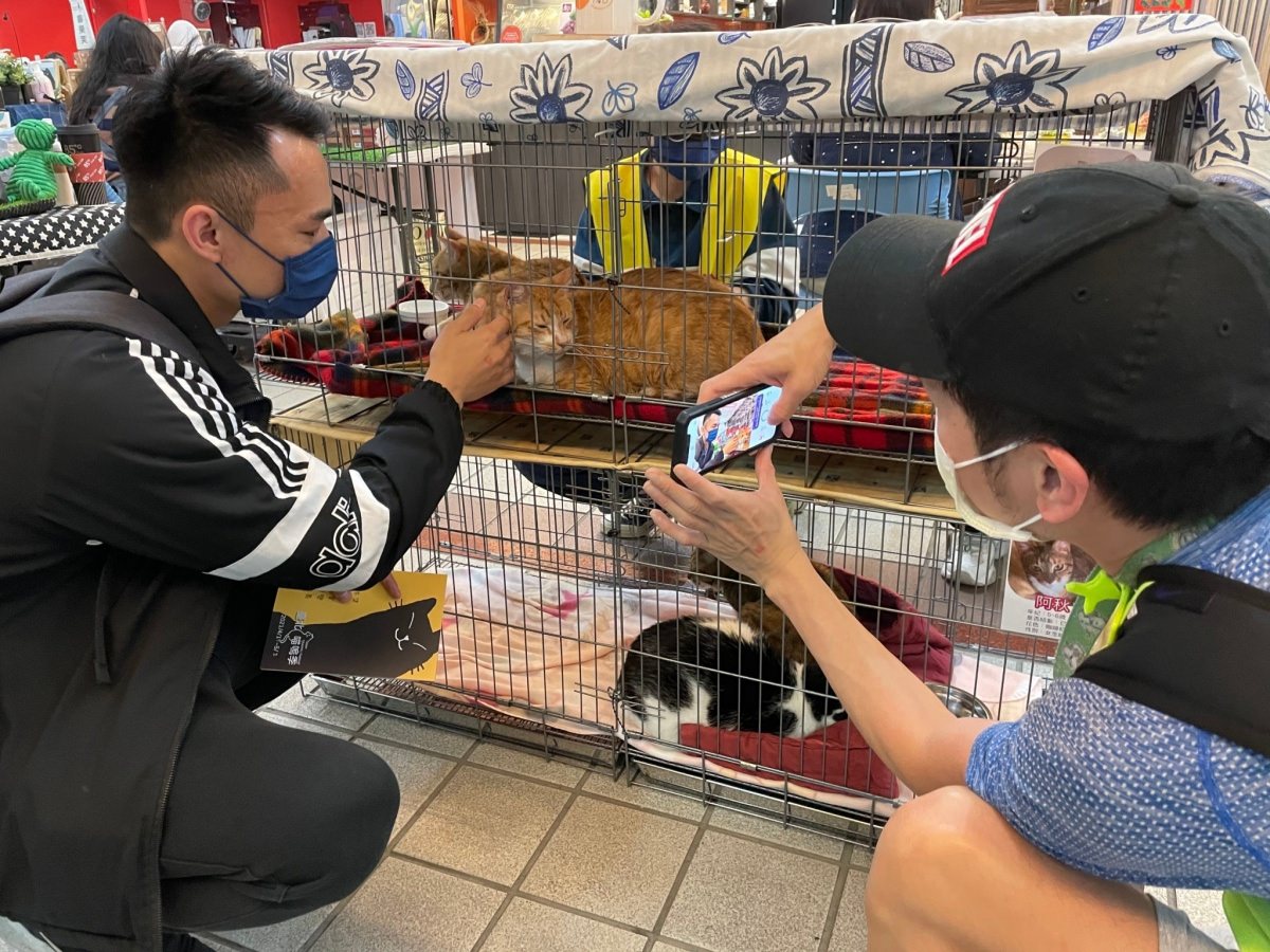 臺北喵嗚季